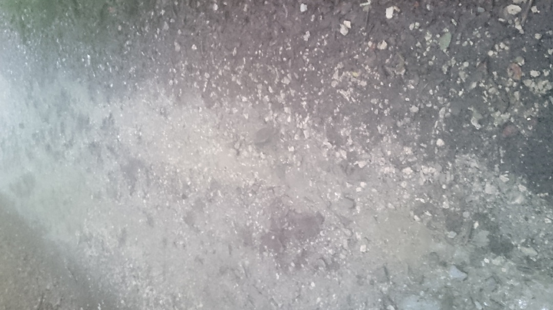 DSC_0130 Cropped_resized_0